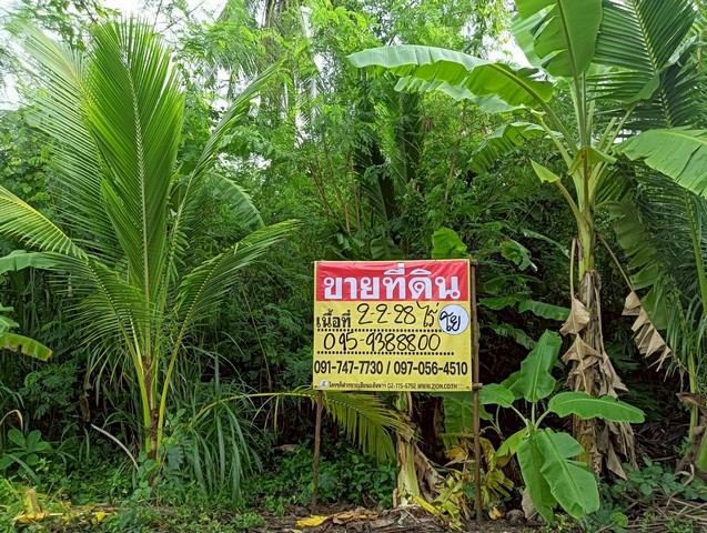ขายที่ดิน 2-2-28 ไร่ ทำเลสวย ธรรมชาติ รมรื่น  อัมพวา  สมุทรสงคราม   ZW616