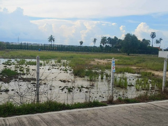 ขายที่ดินสวยทำเลทอง ไทรน้อย 7 ไร่กว่า ราคาพิเศษ!โอกาสลงทุน