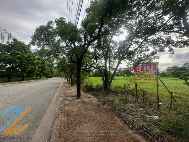 ขายที่ดินสวย ถมแล้วสูงเท่าถนน   461 วา   หมู่บ้านเลควูด-บางนา  อยู่ใกล้ซอยหมู่บ้านเลควูด 55      ZY252 