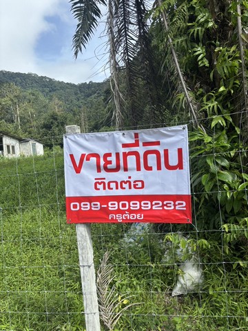 ขายด่วนที่ดิน ซอย 7 ท่อ  อำเภอเมือง จังหวัดระนอง เนื้อที่ 6 ไร่ ท่ามกลางธรรมชาติ