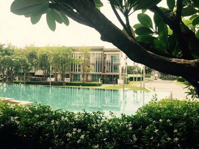 ให้เช่า ทาวน์โฮม 3 ชั้น ม.ทาวน์ อเวนิว ซิกซ์ตี้ วิภาวดี 60 วิวสวนและสระว่ายน้ำ เนื้อที่ 24 ตรว. พื้นที่ใช้สอยประมาณ 200 ตรม. มี 3 ห้อง นอน 3 ห้องน้ำ จอดรถได้ 2 คัน ตกแต่งพร้อมเฟอร์นิเจอร์ เข้า-ออกได้ทั้งถ.วิภาวดี และพหลโยธิน ใกล้รถไฟฟ้า 3 สาย สายสีเขียว, สีแดง และสีชมพู พร้อมทั้งสิ่งอำนวยความสะดวกภายในโครงการครบครันสถานที่ใกล้เคียง1. โรงเรียนบางบัว2. กรมป่าไม้3. วัดศรีมหา