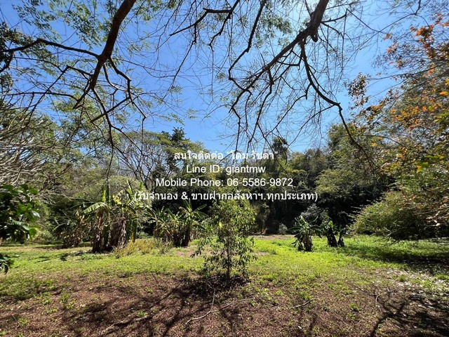 ที่ดิน ขายที่ดินบนเนินเขา และที่ราบสลับซับซ้อนกันแปลงใหญ่ อ.ดอยสะเก็ด จ.เชียงใหม่ 23-2-68.9 ไร่ ราคา 71 ล้านบาท   71000000 thb ไม่ไกลจาก ห่างท่าอากาศยานนานาชาติเชียงใหม่ 40 นาที คุ้มค่าคุ้มราคา