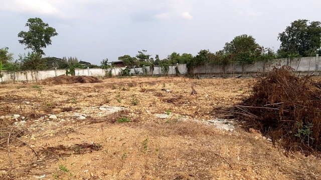 ขาย ที่ดินลาดหลุมแก้ว จังหวัดปทุมธานี  2 ไร่ 18 ตารางวา ถมมีรั้ว พร้อมปลูกสร้างที่ดินพร้อมปลูกสร้างลาดหลุมแก้ว จำนวน 2 ไร่ 18 ตารางวาในที่ดินมีรั้วกำแพงคอนกรีตอย่างดี สูง 2 เมตรเนื้อที่ดินถมสูงเสมอถนนด้านหน้าของที่ดิน ติดถนนกว้างประมาณ 54 เมตร ลึก 68 เมตร ขนาดกำลังสวยมากๆอยู่ใกล้กับชุมชน ตลาด โรงเรียน และตัวเมืองปทุมธานีเข้าซอยตลาดนัดอุดมทรัพย์ ไป 2.7 กิโลเมตร 