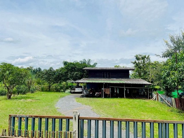 ที่ดินแถมบ้านฟรี พร้อมผู้เช่า หลังม.แม่โจ้ ป่าไผ่ สันทราย 
