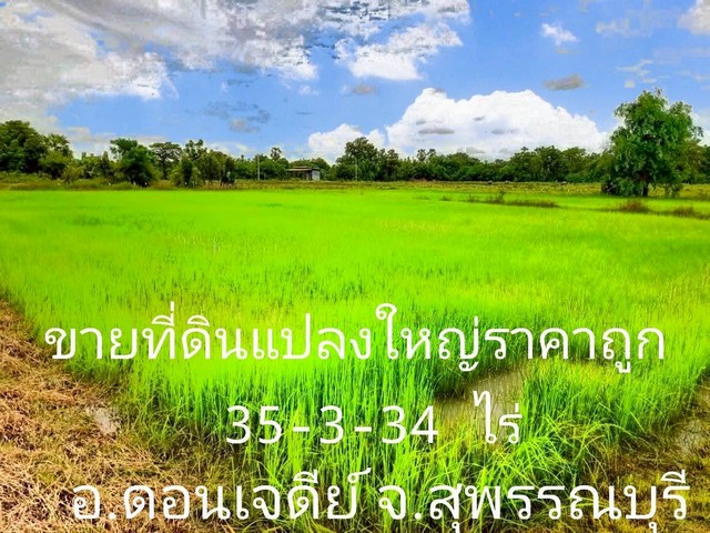 ขายถูกที่ดินแปลงใหญ่ดอนเจดีย์ 35-3-24 ไร่ ทำเลดี ติดถนน