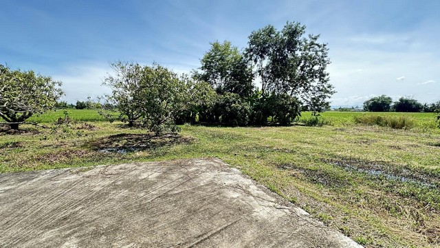 ขายที่ดินสวนลำไย 118.7ตรว. 826,000บ. ฟรีโอน ถมดินแล้ว น้ำประปา ไฟฟ้า ถนนคอนกรีต ใกล้บ้านถวาย ต.ขุนคง อ.หางดง เชียงใหม่