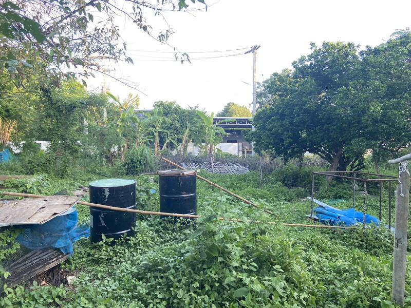 ขายที่ดิน 239ตรว. 1.55ลบ. ถนน น้ำ ไฟฟ้า ใกล้ รร.แม่ออนวิทยาลัย ต.ร้องวัวแดง อ.สันกำแพง เชียงใหม่ขายที่ดินเปล่า พื้นที่ 2 งาน 39 ตรว. เอกสารโฉนดครุฑแดงราคา 1.55 ลบ. (1,550,000 บาท) โอนคนละครึ่งติดถนนคอนกรีตหน้ากว้าง 19ม. ลึก 53 ม.ถนนคอนกรีต กว้าง 4 เมตรน้ำประปา ไฟฟ้า ผ่านหน้าแปลงใกล้ ถนนหลัก 2 เลน เข้าซอย 72 ม.ใกล้ รร.แม่ออนวิทยาลัย 450 ม.ใกล้ รพ.แม่ออน 1.1 กม.ใกล้ ถนน 1317 เชียงใหม่-แม่ออน 1.2 กม.ใกล้ ด