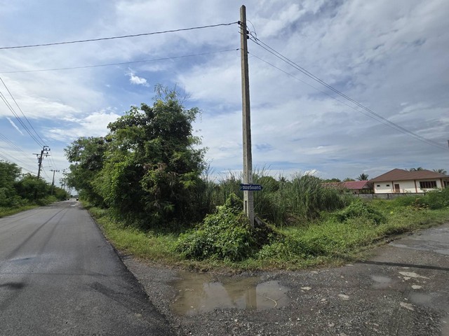 ขายที่ดินเปล่า 1-2-0 ไร่ แปลงสวย ทำเลดีแปลงมุม ติดถนน 2 ด้าน ถ.ขุมทอง-ลำต้อยติ่ง 5 ลาดกระบัง กทม. ใกล้โรงเรียน ขุมทอง เพชรทองคำอุปถัมภ์