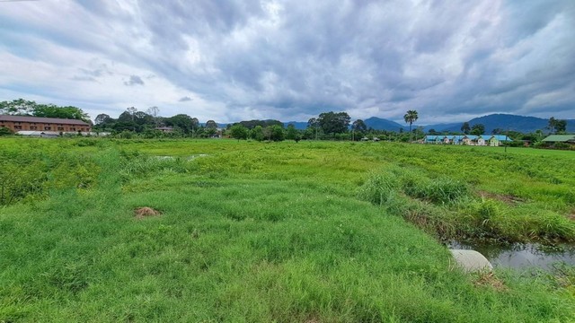 M650417ขายที่ดินสวย ทำเลดี บรรยากาศธรรมชาติตั้งอยู่ที่ ตำบลหินตั้ง อำเภอเมือง ที่ดินจังหวัดนครนายก???? ขนาดที่ดิน: 2 ไร่???? ราคา: ไร่ละ 5,000,000 บาท (รวมทั้งหมด 10,000,000 บาท)???? จุดเด่นทรัพย์ด้านหน้าที่ดินมี ลำธารธรรมชาติ คั่นระหว่างถนนกับที่ดินมีการวางท่อและทำทางเข้าไว้เรียบร้อย กว้างประมาณ 10 เมตรถนนหน้าแปลงขยายเป็น 4 เลนแล้วทำเลดี เข้าออกสะดวก เหมาะสำหรับสร้าง➤ บ้านพักส่