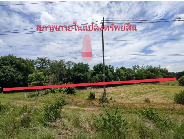 ขายที่ดินว่างเปล่ามือสอง       อำเภอบรบือ  มหาสารคาม