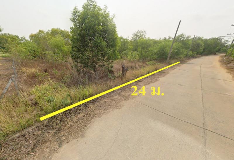 ##ที่ดินเปล่า 310 ตรว. วังน้อย อยุธยาโซน:วังน้อย  พระนครศรีอยุธยาที่ตั้ง: ต.บ่อตาโล่  อ.วังน้อย  จ.พระนครศรีอยุธยาลักษณะโดยทั่วไป-ที่ดินแปลงสวย ถมแล้ว ติดคอนกรีต-เนื้อที่รวม  0 – 3 – 10  ไร่-หน้ากว้างติดถนน  24  เมตร  ลึก 50  เมตร-การคมนาคมสะดวก -เหมาะสำหรับสร้างที่อยู่อาศัย, สำนักงาน หรือปล่อยเช่าสถานที่/บริเวณใกล้เคียง-ศูนย์กระจายสินค้าโลตัสวังน้อย  1.4  กม.-บริษัท นิเด็ค สาข