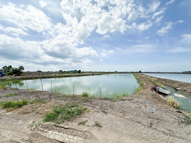  ขายที่ดินเปล่า สุพรรณบุรี  6 ไร่ 3 งาน 72 ตร.ว ติดถนนสาธารณะประโยชน์ ห่างถนนใหญ่ประมาณ 1.2 กม