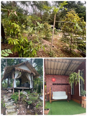 ขายที่ดินทำเลดีเหมาะทำรีสอร์ท อำเภอ ด่านช้าง จังหวัด สุพรรณบุรี