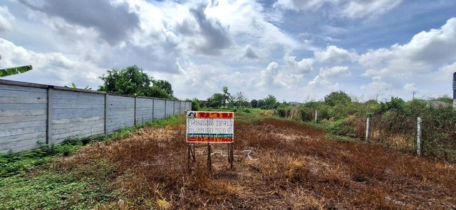 ที่ดินเปล่า 110 ตรว. แปลงมุม ถมแล้ว บางคูวัด บางบัวทอง นนทบุรี