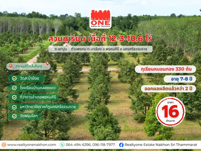 สวนทุเรียนหมอนทองพร้อมผลผลิตเนื้อที่ 12 ไร่ 3 งาน 10.6 ตารางวาทุเรียนหมอนทอง 330 ต้น อายุ 7– 8 ปี  เริ่มให้ผลผลิตแล้ว 2 ปี  ลงทุนวันนี้ เก็บเกี่ยวผลผลิตได้ทันที คุ้มค่าทั้งที่ดินและรายได้ระยะยาวที่ตั้ง : ถ.เขาปูน – กำแพงถม 25 ต.นาเรียง อ.พรหมคีรี จ.นครศรีธรรมราชรายละเอียดของทรัพย์ ทุเรียนหมอนทอง 330 ต้น อายุ 7–8 ปีออกผลผลิตแล้วกว่า 2 ปี พร้อมเก็บเกี่ยวรายได้ทันทีเดินระบบน้