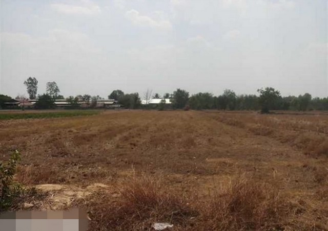 ขายที่ดินว่างเปล่ามือสอง    อำเภอชุมพลบุรี  สุรินทร์