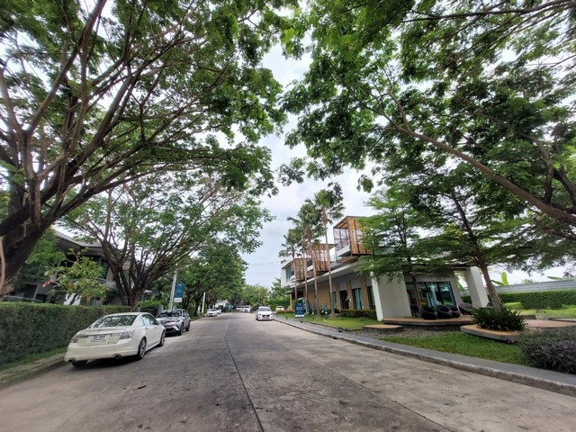 ขายบ้านเดี่ยว วิรัณยา อ่อนนุช วงแหวน บ้านสวย พื้นที่เยอะ ใกล้เมกะสนใจติดต่อ 061-624-7988ต้องการขายบ้านเดี่ยว หมู่บ้าน วิรัณยา อ่อนนุช - วงแหวนขนาด 50 ตารางวา 3นอน 3 น้ำ บ้านสวย มีพื้นที่ต่อเติมได้อีกตามความต้องการแปลนสวย หน้ากว้าง เหมาะสำหรับครอบครัวทุกรูปแบบ.ทำเลดีมาก ติดถนนวงแหวนสามารถเดินทางไป อ่อนนุช สุวรรณภูมิ เมกะ บางนา รามคำแหง2 สวนหลวง ร.9 ได้สะดวกทุกเส้นทา