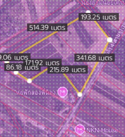 ขายที่ดินนิคมพัฒนาระยอง ม่วงลาย เนื้อที่จำนวน  100ไร่++  นิคมพัฒนา ซอย14 ระยอง