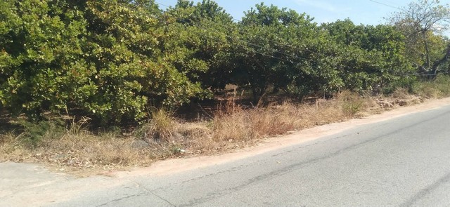 ขายที่ดินสวยบ้านบึงชลบุรี ขายที่ดินคลองกิ่วบ้านบึงชลบุรี ​ผังสีเหลืองEEC บนพื้นที่ดิน​ 59-3​  ไร่