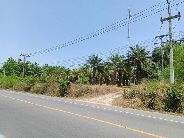 ขายที่ดินสวย 21ไร่  เอกสารสิทธิโฉนด เจ้าของขายเอง ชุมพรที่ตั้ง : ตำบลนาชะอัง อำเภอเมืองชุมพร จังหวัดชุมพร 86000https://maps.app.goo.gl/7R49GnoqNcR9u4XD6ขนาดพื้นที่ : 21ไร่ รายละเอียด- เอกสารสิทธิโฉนด  - ด้านหน้า ติดถนนทางหลวง 3180- หน้ากว้าง ประมาณ100เมตร - ด้านหลังติดถนน คอนกรีด และ ใกล้ทะเลอ่าวพนังตัก-  น้ำไม่เคยท่วมเหมาะกับการ 1 เปิดปั๊มน้ำมัน   2 ทำหมู่บ้าน  3 โรงเรียน   4 สร้างโรงแรม และธุรกิจอื่นๆ