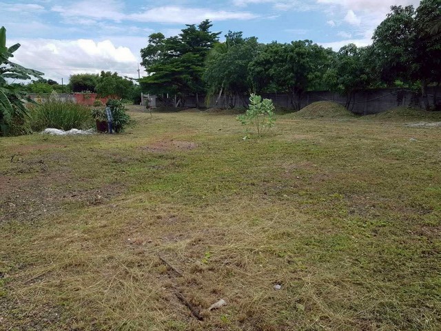 M650474ขายด่วนที่ดินสวย อำเภอเสาไห้ จังหวัดสระบุรีที่ดินขนาด 2 ไร่ 3 งาน 46 ตารางวาทำเลดี เข้าออกสะดวก เหมาะสำหรับสร้างบ้านพักอาศัย โกดัง หรือรีสอร์ท???? ราคาประเมิน: 4.2 ล้านบาท???? ราคาขายเพียง: 4.5 ล้านบาท✨ จุดเด่นของที่ดิน:ที่ดินแปลงสวย รูปทรงเป็นระเบียบอยู่ในทำเลกำลังเติบโต ใกล้เขตชุมชนถนนเข้าออกสะดวก เดินทางไปตัวเมืองสระบุรีได้ง่ายเหมาะสำหรับปลูกบ้านพัก, ทำสวน