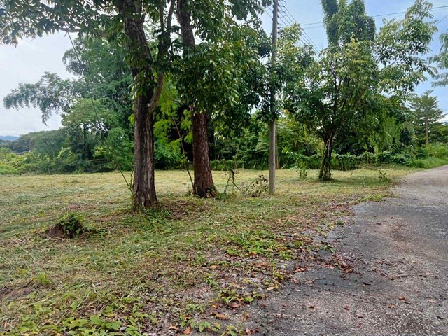 ขายที่ดิน 2-3-8ไร่ 2.8ลบ. ต่ำกว่าราคาประเมิน ถนน น้ำประปา ไฟฟ้า ใกล้วัดห้วยปลากั้ง สภ.แม่ยาว ต.แม่ยาว อ.เมือง เชียงรายขายที่ดิน พื้นที่รวม 2 ไร่ 3 งาน 8 ตารางวา เป็น 2 โฉนดติดกัน ต.แม่ยาว อ.เมือง จ.เชียงรายติดถนน หน้ากว้าง 129 เมตร ลึก 57 เมตรขาย 2.8ล้านบาท (2,800,000 บาท) โอนคนละครึ่ง ต่อรองได้ขายต่ำก่าราคาประเมิน 3.9 ล้านบาทเหมาะสำหรับสร้างบ้านที่อยู่อาศัย บ้านสวน รีสอร์ท โฮมสเตย์ วิ