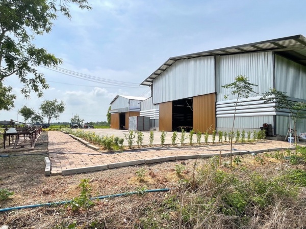 ให้เช่าโรงงาน พร้อมที่ดิน พร้อมใบ รง.4 บางน้ำเปรี้ยว เนื้อที่ดิน ขนาด 24-3-19 ไร่ 