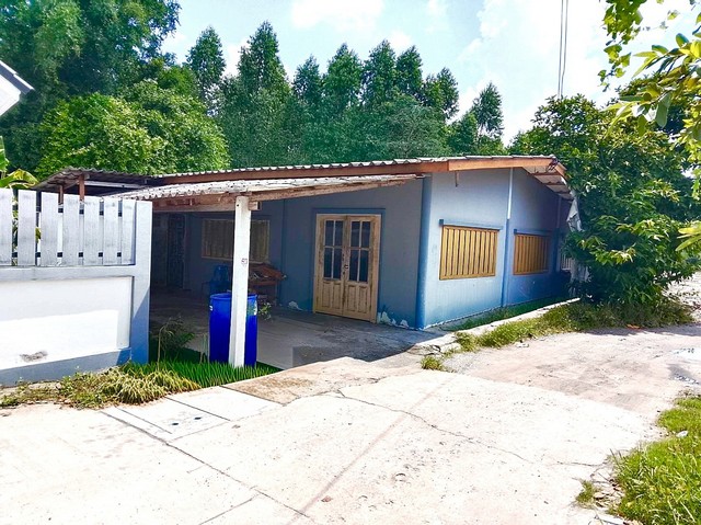 ขายบ้านเดี่ยวสำนักบกเมืองชลบุรี ขายด่วนบ้านเดี่ยวสำนักบกราคาถูก บ้านชั้นเดียวเนื้อที่กว้างขวาง 56  ตรว. 2  นอน  1  น้ำ