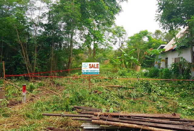 รหัสทรัพย์ 68166ที่ดินเปล่า ซอยคลองหกตะวันออก 98/1  ถ.รังสิต-นครนายก คลองหลวง ปทุมธานีพิกัดที่ตั้ง : ถนนรังสิต - นครนายก ซอยคลองหกตะวันออก 98/1 คลองหลวง ปทุมธานี รายละเอียดทรัพย์ - ที่ดินเปล่า  50 ตารางวา กว้าง 9.5 เมตร ลึก 21.5 เมตร - เหมาะกับการสร้างที่อยู่อาศัย โกดังเล็ก - ถนนกว้าง 7 เมตร น้ำไฟพร้อม ทำเลและสถานที่ใกล้เคียง- ใกล้สถานที่สำคัญอาทิเช่น มหาวิทยาลัย ราชมงคลธัญบุรี