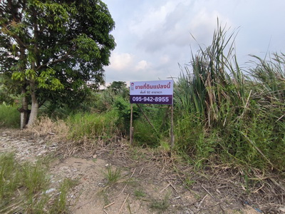 รหัสทรัพย์ : L#27428 (L084078)ขายที่ดินเปล่าบางนา ใกล้เมกาบางนา ทำเลอนาคต!ผังเมืองสีส้ม เหมาะสร้างบ้าน | ลงทุน | เก็งกำไรใกล้แนวเวนคืนถนนโครงการใหม่ทำเลทองเติบโตสูง ใกล้ทางด่วน-เมกาบางนา-สนามบินสุวรรณภูมิที่ตั้ง: ต.บางพลีใหญ่ อ.บางพลี จ.สมุทรปราการพิกัด: ใกล้ถนนบางนา-ตราด, ทางด่วนบูรพาวิถี, เมกาบางนารายละเอียดแปลง• ขนาด 92 ตร.ว. (0-0-92 ไร่)• รูปแปลงสวย สี่เหลี่ยมผืนผ้า• หน้า