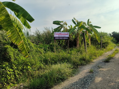 รหัสทรัพย์ : L#27050 (L084079)ขายที่ดินเปล่าบางนา ใกล้เมกาบางนาผังเมืองสีส้ม เหมาะลงทุน-ปลูกบ้านทำเลศักยภาพสูง ใกล้แนวถนนโครงการใหม่ที่ตั้ง: ต.บางพลีใหญ่ อ.บางพลี จ.สมุทรปราการพิกัด: ใกล้ถนนบางนา-ตราด, เมกาบางนา, ทางด่วนบูรพาวิถีรายละเอียดแปลง• ขนาด 0-0-92 ไร่ (92 ตร.ว.)• ที่ดินรูปสี่เหลี่ยมผืนผ้า• หน้ากว้างประมาณ 13 ม. ลึกประมาณ 29.5 ม.• ผังเมืองสีส้ม (พื้นที่อยู่อาศัยหนาแน่นปาน