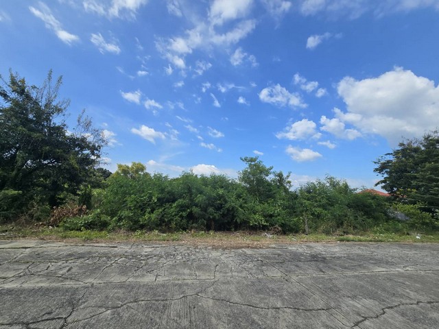 ขายที่ดินเปล่าปทุมธานี 2-0-41.1 ไร่ ใกล้เทคโนธานี และพิพิธภัณฑ์วิทยาศาสตร์ ทำเลทองลงทุน น้ำไฟพร้อม