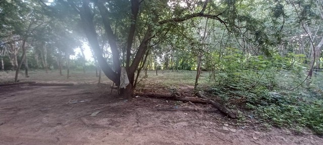 M650477ขายที่ดินติดริมแม่น้ำโขง พื้นที่รวม 14 ไร่ตั้งอยู่ที่ บ้านผาแปน อำเภอเชียงคาน จังหวัดเลยพื้นที่สวย ทำเลดี วิวแม่น้ำโขงแบบพาโนรามา เหมาะสำหรับสร้างรีสอร์ต บ้านพักตากอากาศ หรือโครงการเพื่อการลงทุน???? ราคา: ไร่ละ 1.5 ล้านบาท???? ที่ตั้ง: บ้านผาแปน ต.เชียงคาน อ.เชียงคาน จ.เลย???? จุดเด่น:ติดริมแม่น้ำโขง วิวสวยธรรมชาติเดินทางสะดวก ห่างจากตัวเมืองเชียงคานเพียงไม่ก