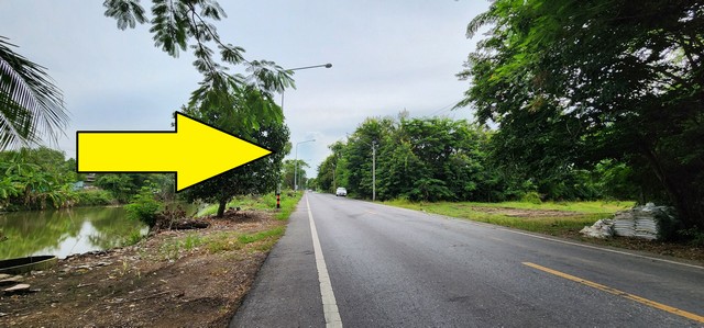 ขายที่ดิน30 ไร่ คลอง11หนองเสือ ปทุมธานี ราคาถูกขายที่ดินหนองเสือ คลอง 11 ขนาด 30 ไร่ ติดถนนลาดยาง เหมาะทำแปลงจัดสรรขาย ทำดกดัง โรงงาน หรือซื้อเก็บไว้แบ่งแปลงเล็กๆขายได้ที่ตั้ง : ตำบล บึงบา อำเภอ หนองเสือ ปทุมธานี 12170ที่ดินมีเนื้อที่ 30-0-32 ไร่ คลอง 11 หนองเสือ ติดถนนลาดยาง- กว้าง 40 มตร - ลึก 1203 เมตร ลักษณะ: เป็นพื้นที่สีชมพู เหมาะทำแปลงจัดสรรขายแบ่งเป็นแปลงเล็กๆขายได้  ทำ