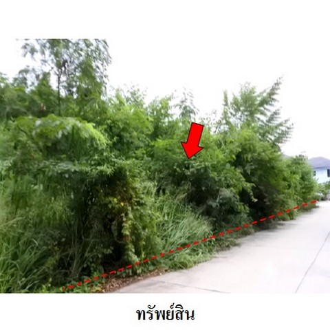 ขายที่ดินว่างเปล่าโครงการ สวนวลีแลนด์ 4 ถ.สายบางละมุง-ระยอง ทับมา เมืองระยอง ระยอง