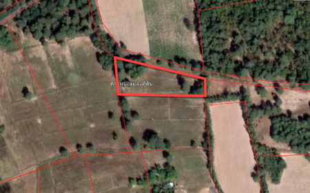 รหัสทรัพย์ : L#96035  (L081081)ที่ดินเปล่า 1-2-95.30 ไร่  ที่ดินแปลงสวย เหมาะทำโกดัง , บ้านสวนรีสอร์ท   ใกล้แหล่งชุมชน เดินทางสะดวก  ต.ดอนยาวใหญ่ อ.โนนแดง จ.นครราชสีมา    สถานที่ใกล้เคียง- โรงเรียนบ้านป่าตะแบง              - สถานีน้ำมัน พีที              - ร้านแสงดาวขายดี            สนใจสอบถามข้อมูลเพิ่มเติมได้ที่ #ERA พร็อพเพอร์ตี้ เน็ทเวิร์ค จำกัด02-108-9895 , 083-499-3410LINE ID : @erapropertynetworkช่องทางการติดตาม :Instagram : https://bit.ly/3ewVvZTYoutube : https://bit.ly