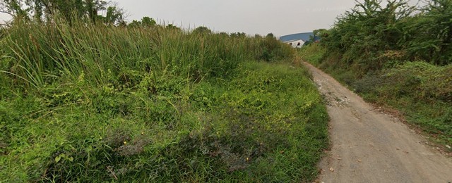 ขายที่ดินแปลงสวย ทำเลทอง กรุงเทพกรีฑา20  ย่านชุมชน เข้าออกได้หลายทาง