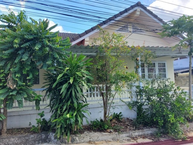  รหัสทรัพย์ (Code ID)  : PSC_11285  ราคา    2,232,000  บาท (ราคาต่อรองได้) ▸ เนื้อที่   52 ตร.ว พื้นที่ใช้สอย 180 ตารางเมตร   ▸ 2 ห้องนอน 2 ห้องน้ำ    ▸ 1 ที่จอดรถ   บ้านเดี่ยวหันไปทางทิศ   พิกัดทรัพย์ :  https://maps.app.goo.gl/f4uRZCdeVLLJt4fTA  สถานที่ใกล้เคียง ▸ใกล้วัดเขาน้อย ▸ใกล้โลตัส สัตหีบ สาขา 1 ▸ใกล้ตลาดกลางรัตนากร ▸ใกล้ตลาดนัด 700 ไร่  สอบถามเพิ่มเติม / นัดชม โทร. 097-419-5982(พลอย) โทร. 096-932-4624(ออมสิน) Line : @panaya (มี@ด้านหน้า)  ปรึกษาสินเชื่อ