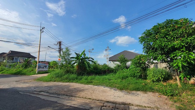 ขายที่ดินเปล่าใจกลางเมือง สุราษฎร์ธานี #R009ทำเลทองในเมือง เข้าทางถนนอำเภอ 2 สามารถเชื่อมต่อถนนการุณราษฎร์ได้ (แยกน้ำค้าง)ที่ดินเหมาะสร้างบ้านหรือซื้อลงทุน ทำเลคมนาคมสะดวก ใกล้โรงเรียน ห้าง และโรงพยาบาลพิกัด: เข้าทางถนนอำเภอ 2 (ใกล้แยกน้ำค้าง)รายละเอียดทรัพย์เนื้อที่ 54 ตารางวา(กว้าง 14.5 เมตร × ยาว 15 เมตร โดยประมาณ)แปลงหัวมุม ติดถนน 2 ด้านใกล้ถนนเส้นหลัก สัญจรสะ