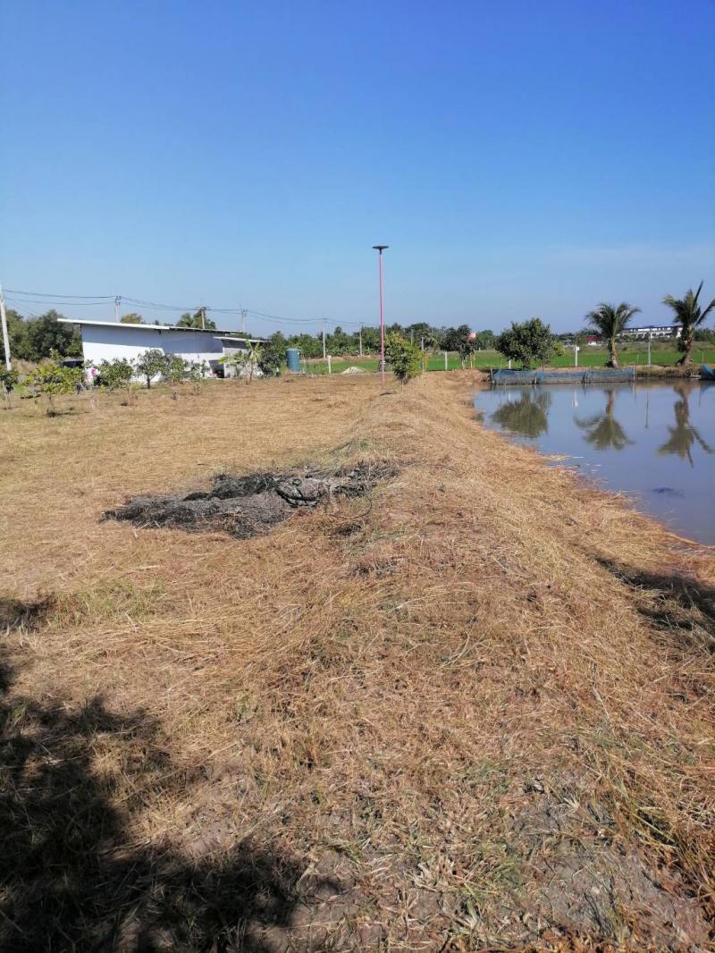 ขายที่ดินรูปสี่เหลี่ยมผืนผ้าสวย ใกล้คลอง 15 บึงน้ำรักษ์ จังหวัดฉะเชิงเทรา