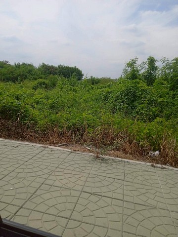 M650487ขายที่ดินทำเลดี ย่านปทุมสายใน???? ตั้งอยู่ หน้าโรงเรียนปทุมนันทมุนีบำรุงพื้นที่รวม 15 ไร่???? ราคาขายเพียงไร่ละ 6.5 ล้านบาท???? ราคารวมประมาณ 97,500,000 บาทเหมาะสำหรับพัฒนาเป็นโครงการหมู่บ้านจัดสรรอาคารพาณิชย์โรงงานขนาดเล็ก หรือโกดังสินค้า???? จุดเด่นที่ดินที่ดินแปลงสวย ทำเลดี เดินทางสะดวกติดถนนใหญ่ เข้าออกง่ายใกล้แหล่งชุมชน โรงเรียน และสิ่งอำนวยความสะดวก???? ทำเล: