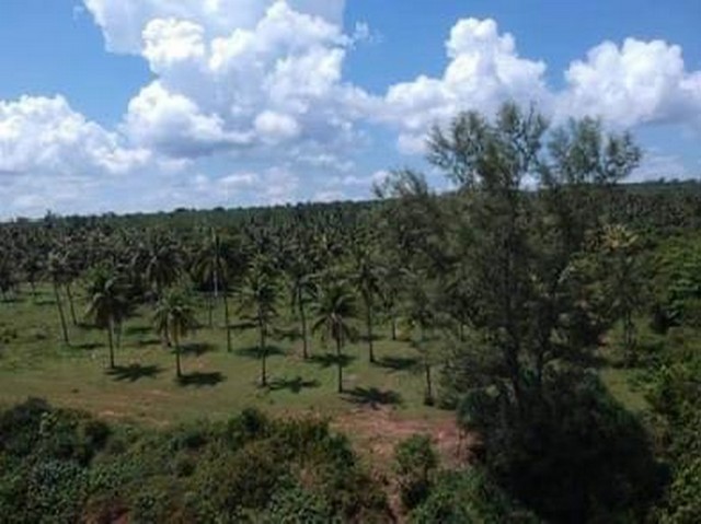 มูลค่าทวีเพิ่มพูนทรัพย์ในดิน ที่ติดทะเล ฝั่งแดง ขายราคาไร่ล่ะ 3.5 ล้านบาท โฉนดครุฑแดง พร้อมโอน