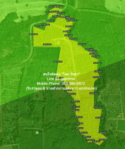 พื้นที่ดิน ขายที่ดินสวนผลไม้ปลอดสารพิษ (Organic) อ.ประจันตคาม จ.ปราจีนบุรี 57-0-90.4 ไร่, ราคา 57 ล้านบาท  22890 ตาราง.วา 57000000 thb ใกล้กับ ห่างทางหลวงหมายเลข 3649 (ถนนสุวรรณศร) ประมาณ 5 กม. บรรยากาศดี ที่ดินตั้งอยู่ท่ามกลางสิ่งแวดล้อมที่เป็นธรรมช