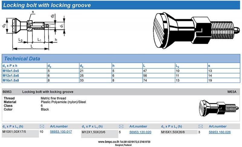 Locking bolt standard pitch, Index plunger, Plunger with pin, สลักล๊อกตำแหน่ง