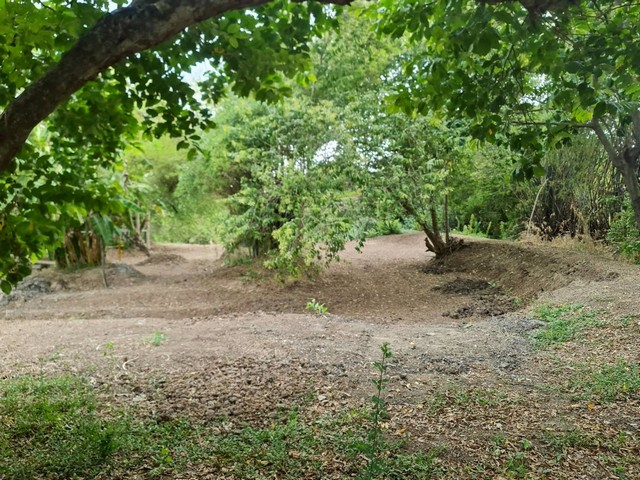 M650490ให้เช่าที่ดินสวย ทำเลทองกลางใจเมืองคู้บอน 27 แยก 9 – เหมาะสร้างโครงการ, ร้านอาหาร, Community Mall???? ทำเล: ซอยคู้บอน 27 แยก 9 ถนนรามอินทรา แขวงท่าแร้ง เขตบางเขน กรุงเทพมหานคร???? ขนาดที่ดิน: 3 ไร่???? ราคาเช่า: ตารางวาละ 277 บาท???? จุดเด่นของทรัพย์ที่ดินแปลงสวย หน้ากว้าง ทำเลดีใจกลางย่านคู้บอนเหมาะสำหรับทำ ร้านอาหาร, Community Mall, ตลาดนัดขนาดใหญ่, หมู่บ้านพักอาศัยหรือเวลเนสสำหรับผู้สูงอ