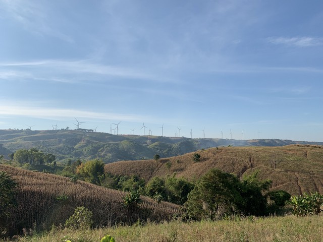 ขายด่วน ที่ดินเขาค้อ วิวกังหันลม วิวพาโนรามา 360° ตำบลทุ่งสมอ อำเภอเขาค้อ จังหวัดเพชรบูรณ์