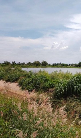 ขายที่บ่อปลา ติดคลอง 9 ไร่ ติดถนน ต.ท่าข้าม อ.พนัสนิคม จ.ชลบุรี