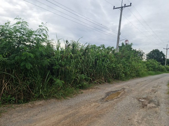 ที่ดินวิวสวยทำเลเหมาะอากาศดี ที่ปากช่อง 2ไร่- 8ไร่ โฉนด ต.วังไทร อ.ปากช่อง จ.นครราชสีมา ไร่ละ  2.9 ลบ.สูงจากระดับน้ำทะเลมาก น้ำไฟพร้อม