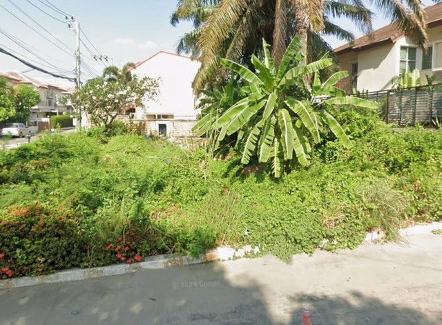 M650404ขายที่ดินเปล่าทำเลดีในตำบลศรีบางเมือง อำเภอเมือง จังหวัดนนทบุรีขนาด 61.6 ตารางวา ราคาเพียง 3 ล้านบาท(ค่าโอนผู้ซื้อออกเอง)ที่ดินเป็น 2 โฉนด ตั้งอยู่ด้านหน้าหมู่บ้าน JW คาซ่า ศรีบางเมืองแปลงสวย หน้ากว้าง พื้นที่ใช้สอยลงตัวการเดินทางสะดวก เข้า–ออกง่าย ใกล้แหล่งชุมชน เหมาะสำหรับปลูกบ้าน หรือซื้อเก็บเพื่อการลงทุนโทร: แหม่ม083​ 459 2878ID Line:madosiam5678หรือคลิกลิงค์ไลน์https://line