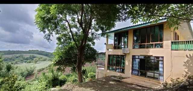 ขายบ้านพักตากอากาศบนเนินเขา อำเภอเขาค้อ จังหวัดเพชรบูรณ์ เนื้อที่ 1ไร่